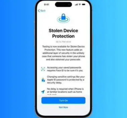 八所镇苹果授权维修店分享被盗设备保护功能开启方法 