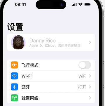 八所镇appleID维修服务iPhone设置中Apple ID显示为灰色无法使用