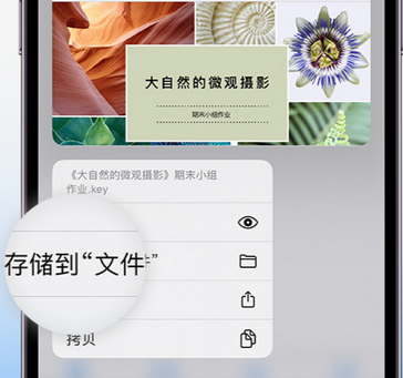 八所镇apple维修中心分享iPhone文件应用中存储和找到下载文件
