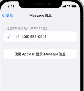 八所镇apple维修iPhone上无法正常发送iMessage信息