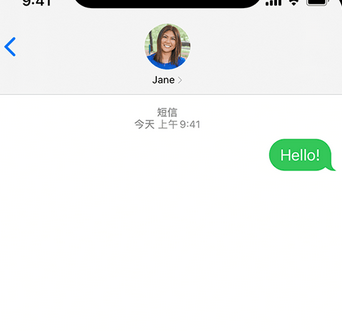 八所镇apple维修iPhone上无法正常发送iMessage信息