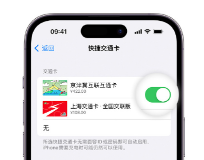 八所镇apple维修点分享iPhone上更换Apple Pay快捷交通卡手绘卡面 