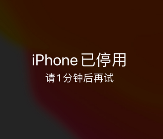 八所镇苹果手机维修分享:iPhone 显示“不可用”或“已停用”怎么办？还能保留数据吗？ 