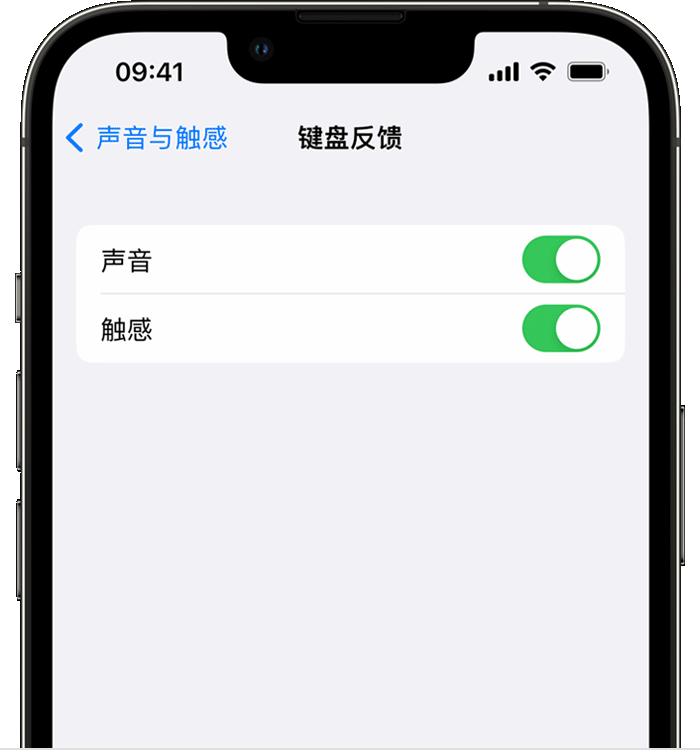 八所镇苹果14维修店分享如何在 iPhone 14 机型中使用触感键盘 