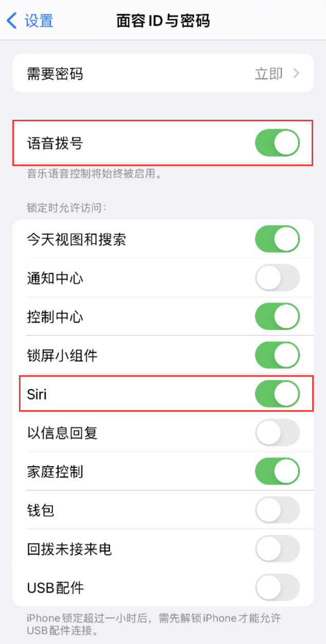 八所镇苹果维修网点分享不解锁 iPhone 的情况下通过 Siri 拨打电话的方法 