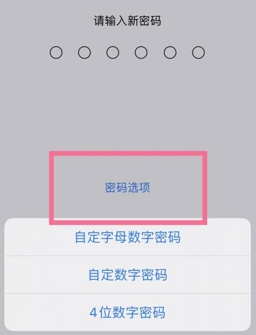 八所镇苹果14维修分享iPhone 14plus设置密码的方法 