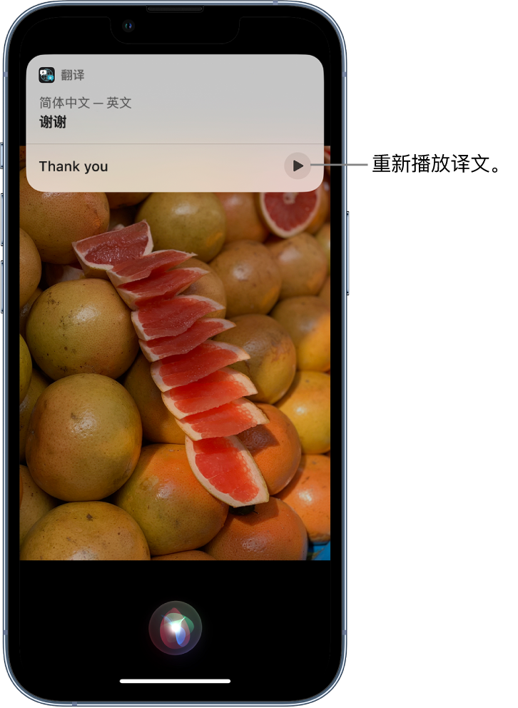 八所镇苹果14维修分享 iPhone 14 机型中使用 Siri：了解 Siri 能帮你做什么 