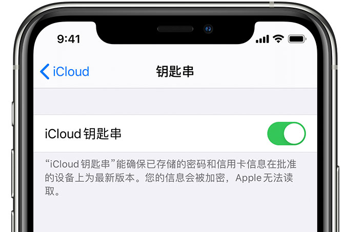 八所镇苹果手机维修分享在 iPhone 上开启 iCloud 钥匙串之后会储存哪些信息 