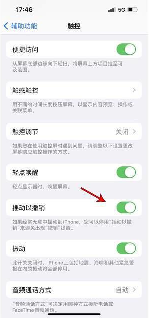 八所镇苹果手机维修分享iPhone手机如何设置摇一摇删除文字 